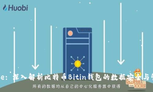 Title: 深入解析比特币Bitin钱包的数据安全与管理