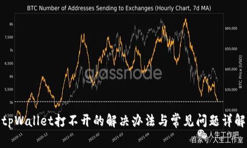 tpWallet打不开的解决办法与常见问题详解