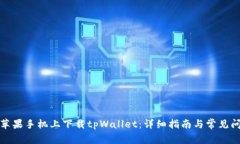 如何在苹果手机上下载tpWallet：详细指南与常见问