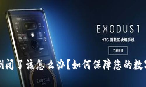 tpWallet倒闭了该怎么办？如何保障您的数字资产安全