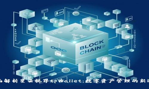 全面解析星云视界tpWallet：数字资产管理的新选择