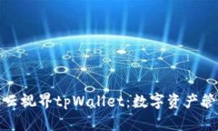 全面解析星云视界tpWallet：数字资产管理的新选择