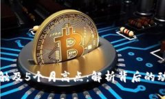 : 比特币活动触及5个月高点：解析背后的动因与